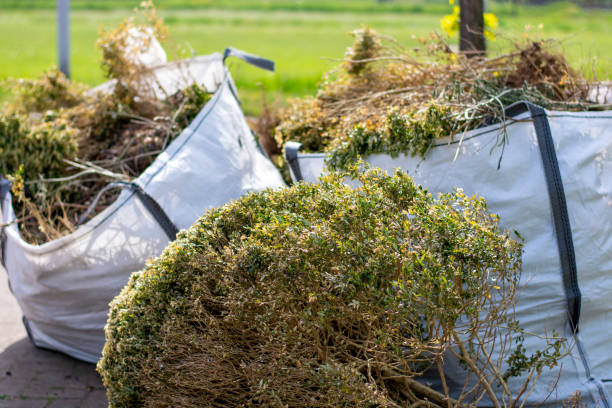 Best Yard Cleanup Services  in Byesville, OH